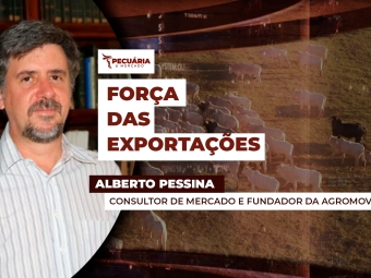 alberto