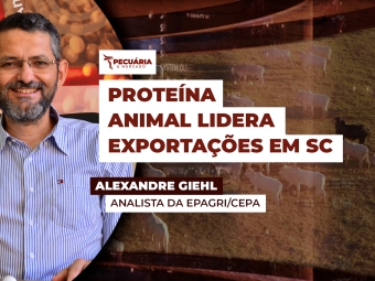 alexandre