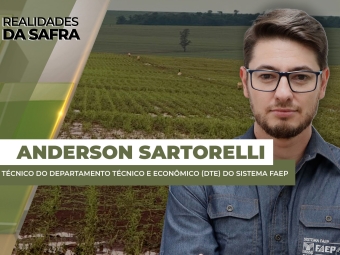 ANDERSON THUMB SITE