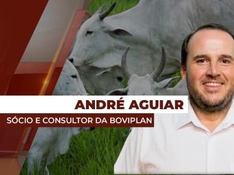 andre-destaque