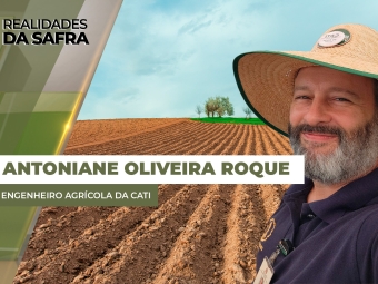 Antoniane Arantes de Oliveira Roque