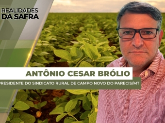 antonio cesar site