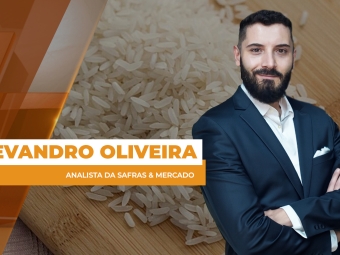 arroz site