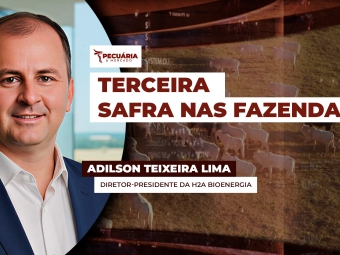 ASILSON