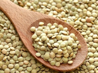 Lentilha destaque
