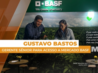BASF 04