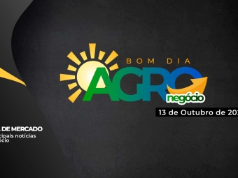 BDA-13-10
