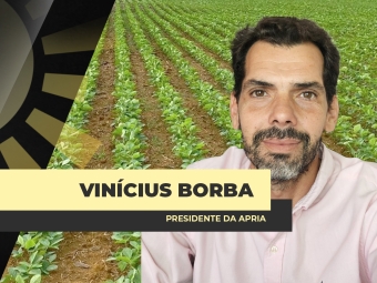BDA - SITE - VINICIUS BORDA