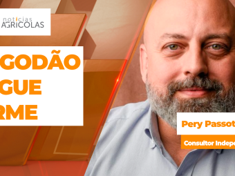 BOLETINS THUMB ALGODÃO
