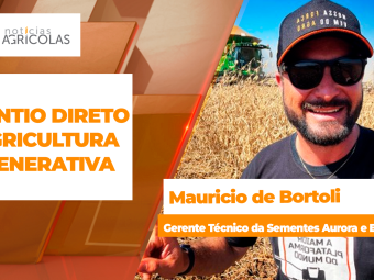 BOLETINS THUMB