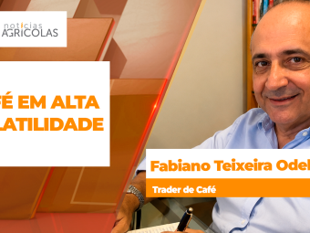 BOLETINS THUMB CAFÉ
