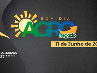 bom-dia