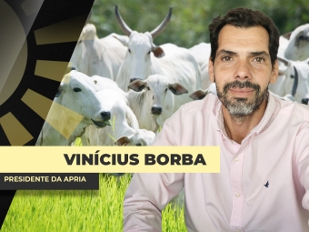 BORBA