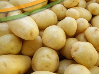 Batata