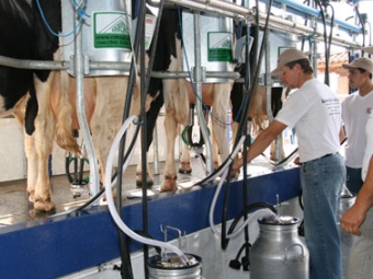 Leite - Destaque 2 - 377x370