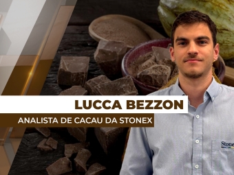 cacau-destaque