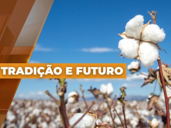 capa Algodão