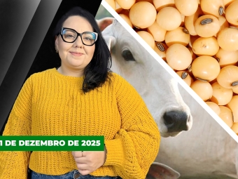 CAPA DO YOUTUBE FECHA ALEKS