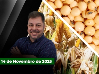 CAPA DO YOUTUBE FECHA ALEKS