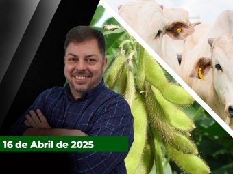 CAPA-DO-YOUTUBE-FECHA-ALEKS