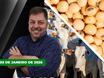 CAPA DO YOUTUBE FECHA ALEKS