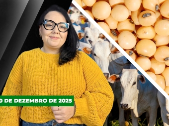 CAPA DO YOUTUBE FECHA ALEKS