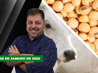 CAPA DO YOUTUBE FECHA ALEKS