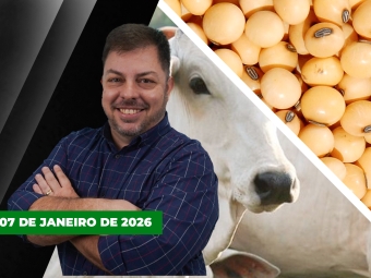 CAPA DO YOUTUBE FECHA ALEKS