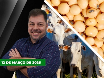 CAPA DO YOUTUBE FECHA ALEKS