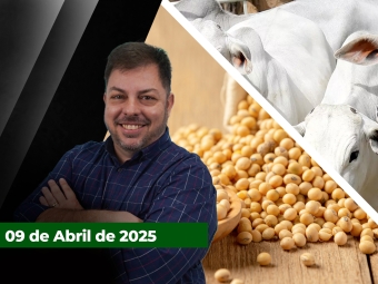 CAPA-DO-YOUTUBE-FECHA-ALEKS