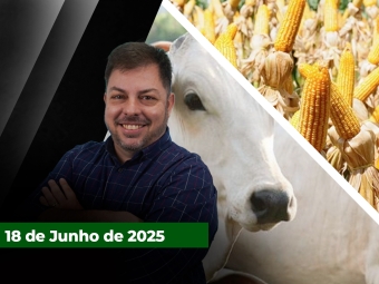 CAPA DO YOUTUBE FECHA ALEKS