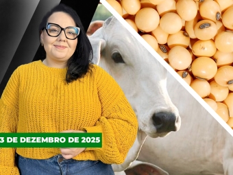 CAPA DO YOUTUBE FECHA ALEKS
