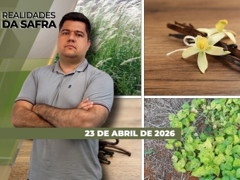 CAPA DO YOUTUBE_REALIDADES-ÍNTEGRA2