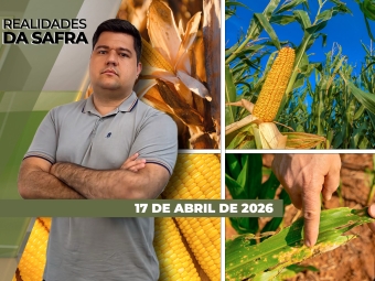 CAPA DO YOUTUBE_REALIDADES-ÍNTEGRA2