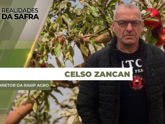 celso zancan sit