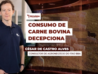 cesar