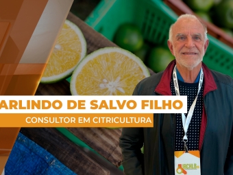 Citrus sitre