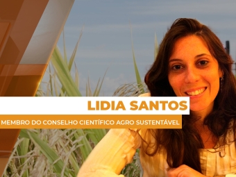 comercial site