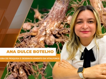 comercial site