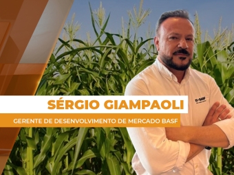 comercial site