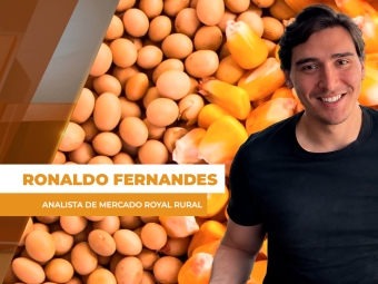 COMMODITIES SITE