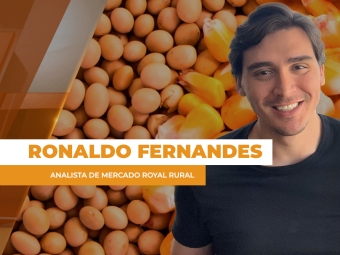 COMMODITIES SITE