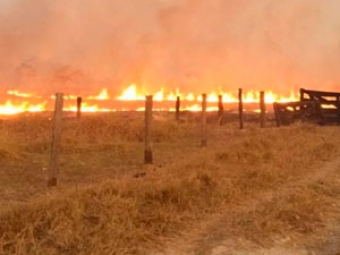 Incêndios destaque vídeo
