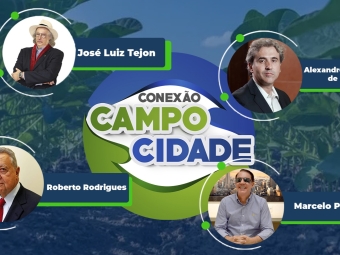 campo e cidade
