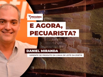 daniel miranda