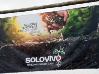 Solo Vivo
