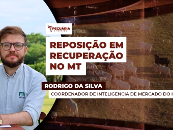 DEMANDA-EM-FOCO
