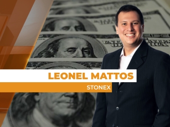 dolar 21.01 - site