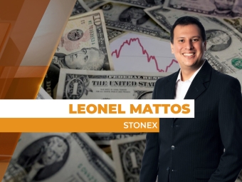 dolar site
