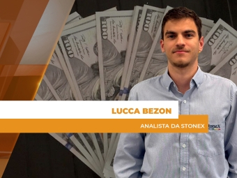 dolar site